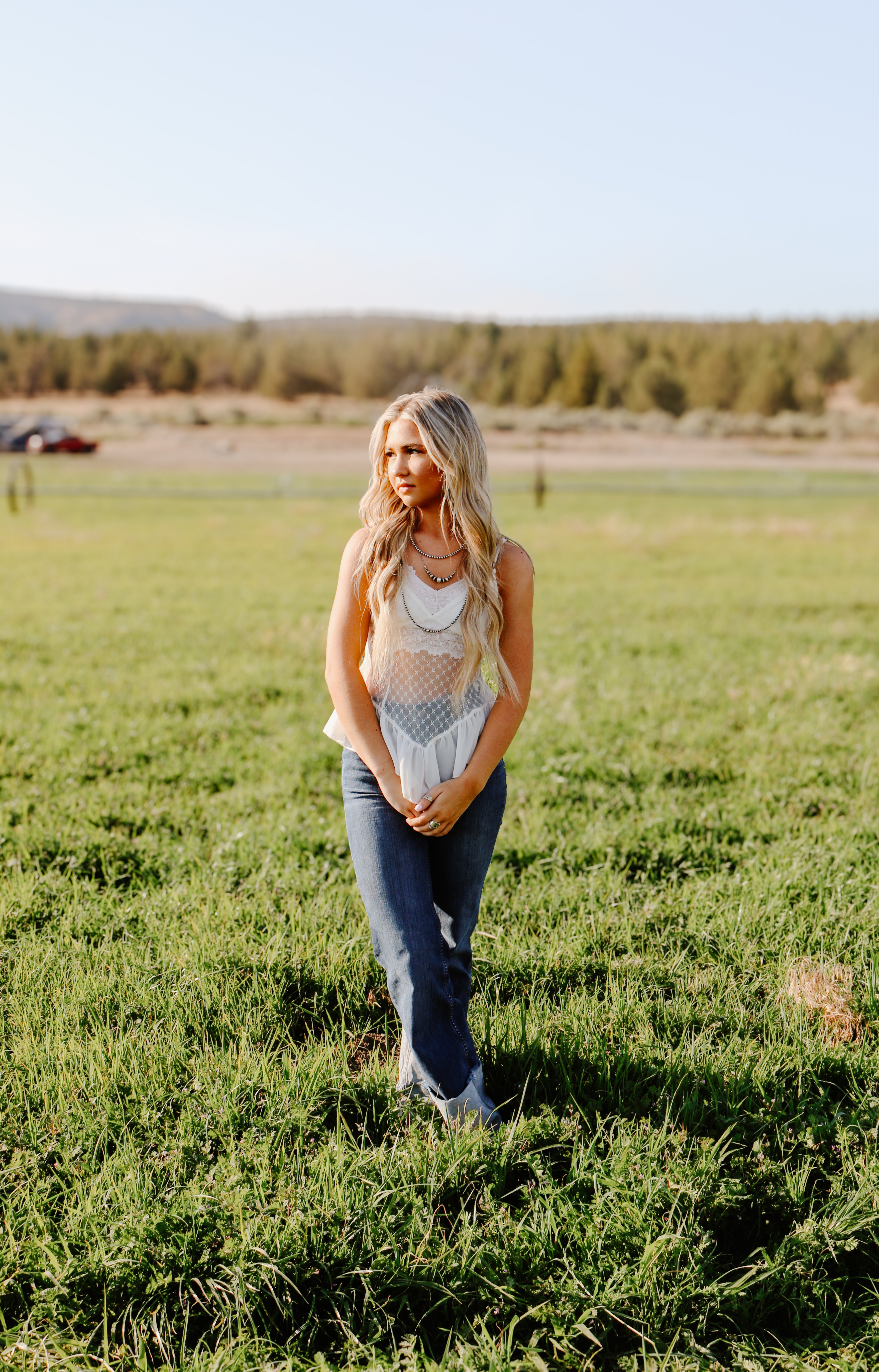 THE EVERETT SHEER LACE TOP