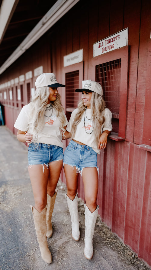BLONDES HAVE MORE FUN TRUCKER
