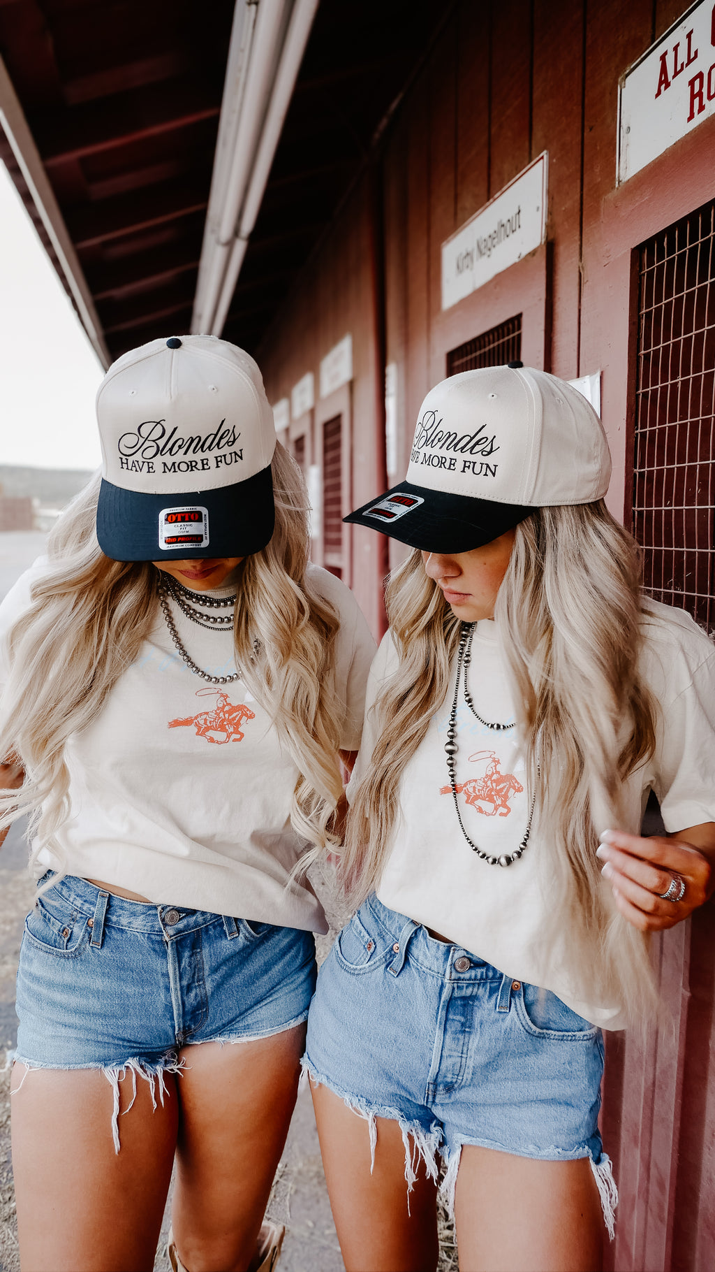 BLONDES HAVE MORE FUN TRUCKER