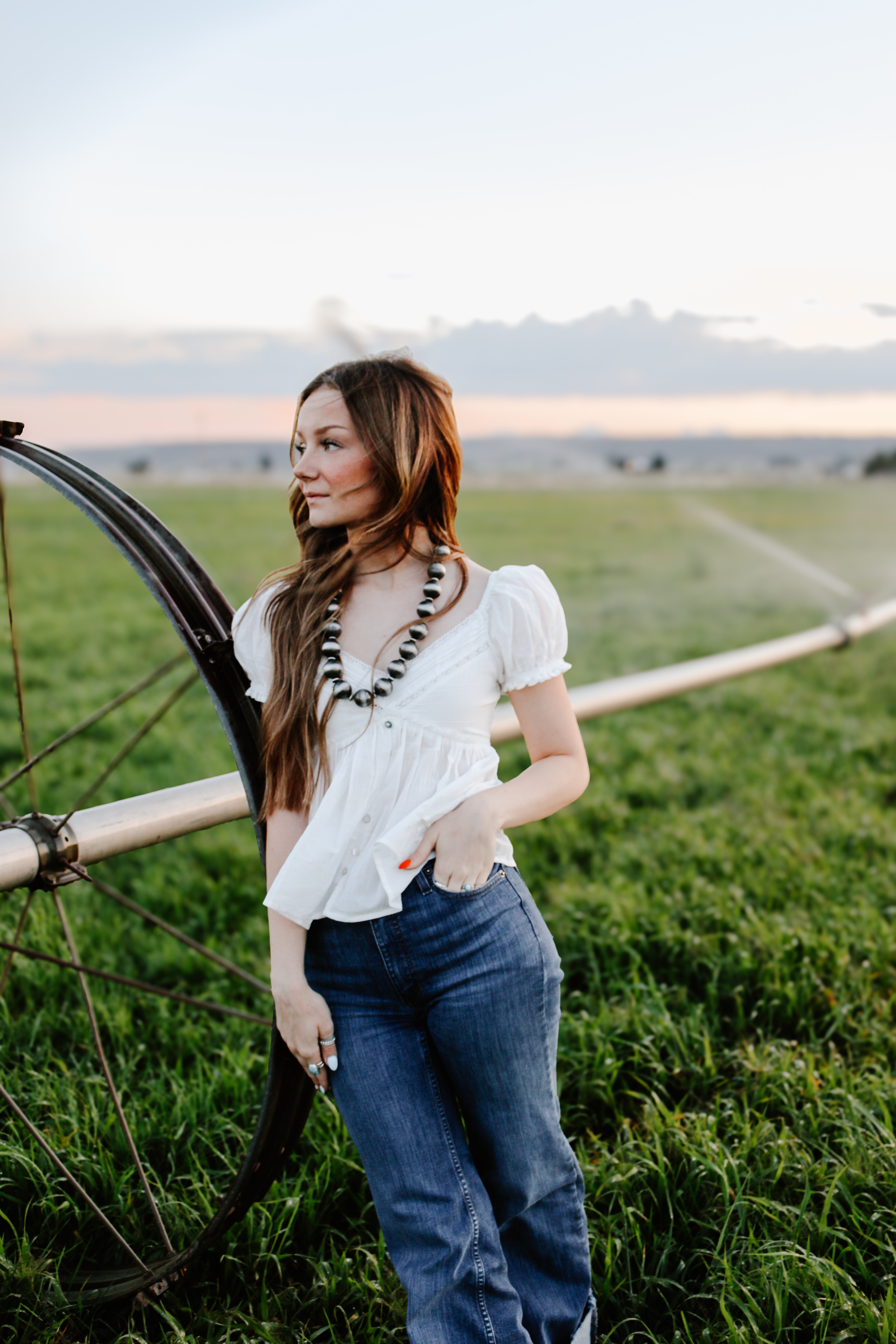 THE WILLOW TOP
